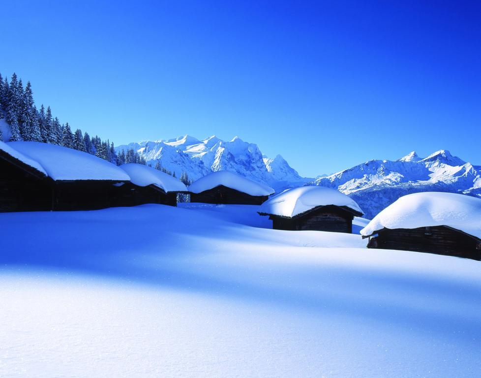 茵诺科琴 乌尔韦德山庄旅舍旅舍 外观 照片